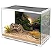 AWERT River Bed & Lake Aquarium Background Sunshine Aquatic Plant Fish Tank Background Vinyl 48x20 inches