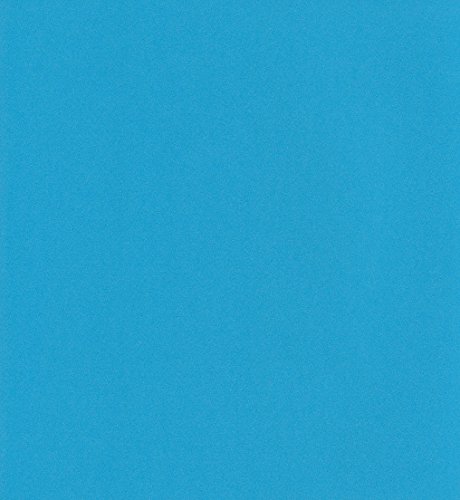 エスケント ケント紙 スターカラー 八切 ライトブルー 100枚 5736008