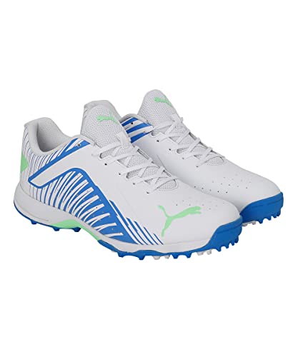 Image of Puma Men 22 FH Rubber Cricket Shoe