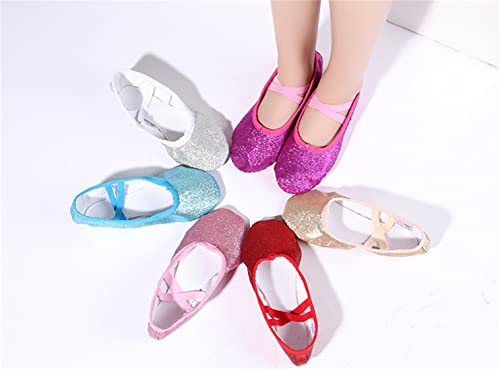 バレエダンスシューズ 基本的な練習 初心者 練習用 PUレザー