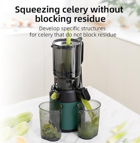 Exprimidor profesional lento de 300 W, exprimidor de prensado en frío con canal de alimentación de 13 cm, exprimidor portátil de separación, exprimidor de frutas, verduras verde