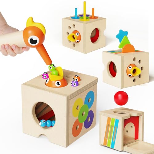 Image of 5-in-1 Wooden Activity Cube, Toddlers Montessori Toys for Baby Boys Girls, Baby Activity Center for 2+ Year Old, Woodpecker Worm Toy Magnetic Bird Feeding Game, Educational Color & Shape Sorting Toy