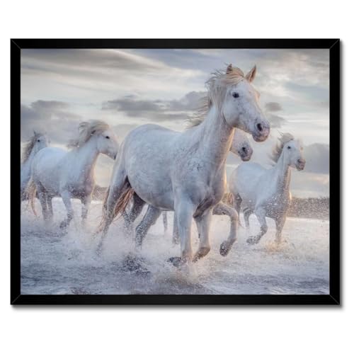 Poster chevaux sauvages impression haute définition 50x40
