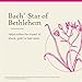Bach Original Flower Remedies, Star of Bethlehem - Neutralize Grief - Natural Homeopathic Flower Essence for Emotional Balance - Vegan, Gluten Free, Sugar Free - 20mL Dropper