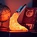 Produktbild 3D Raumschiff Lampen Space Shuttle Nachtlicht,3D-Druck Rakete Start Flamme Universum Nachtlicht Lampe USB Aufladung Stimmung Licht Für Schlafzimmer, Cafe, Dekoration (Shuttle twisted)