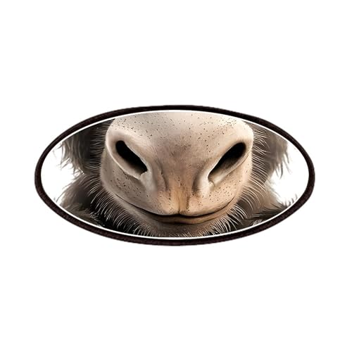 CafePress A Close Up Of A Appears 4