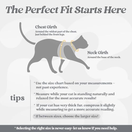 Image of rabbitgoo Cat Harness and Leash Set, Step-in Soft Vest, Grey | Escape Proof, Lightweight, Easy-on & Adjustable, Hook & Loop with Buckle, Reflective, for Small Cats Walks, L