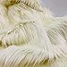 Ice Fabrics Faux Fur Fabric by The Yard - 60 Inches Wide Super Soft and Fluffy Shaggy Mohair Fur Fabric for Costumes, Apparel, Rugs, Pillows, Decorations and More - Ivory - One Yard
