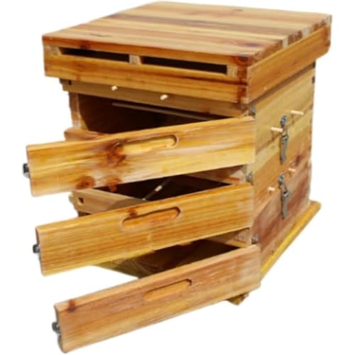 Angoda ޖȊ bNXH hhK t[sv VRIY ςݏdˉ\ {Ip ϕH I (؂̖X,3̊ώ@t+3w)