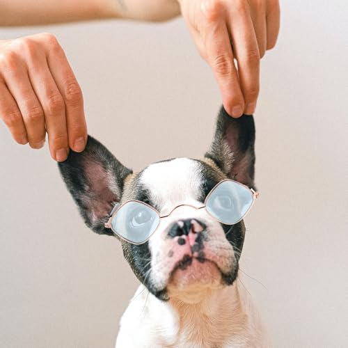 Gafas para Perro de Plástico en Forma de Diamante, 2 piezas miniatura 3