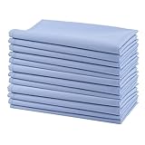 FOREIGN PUNKS 100% Cotton Twill Cloth Napkins - Set of 12 Solid Color Cotton Daily Use Lunch Dinner Napkin - Ideal for Gift -Soft Washable Reusable Napkin - Size 18'x18' - Sky Blue