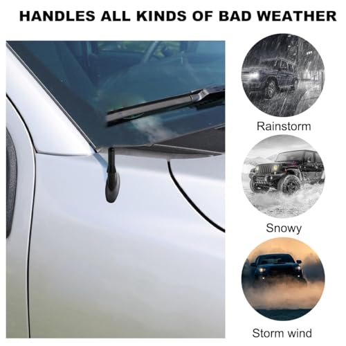 Image of STHIRA Short Antenna for Car 1.37 Inch Carbon Fiber Decorative 2PCS | Exterior Styling, Roof and Trunk Use, Compact Profile, Carbon Fiber Style Finish, Two Piece Set