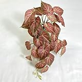 Per foglie finte di Pothos: vite artificiale realistica per la decorazione della casa, adatta con vasi o espositori da appendere, lunga durata (rosso)