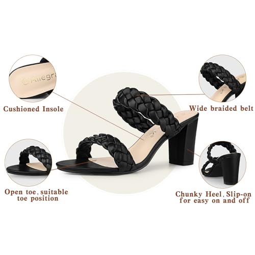 Allegra K Women's Braided Heeled Slip on Chunky Heel Black Slide Sandals - 6 M US