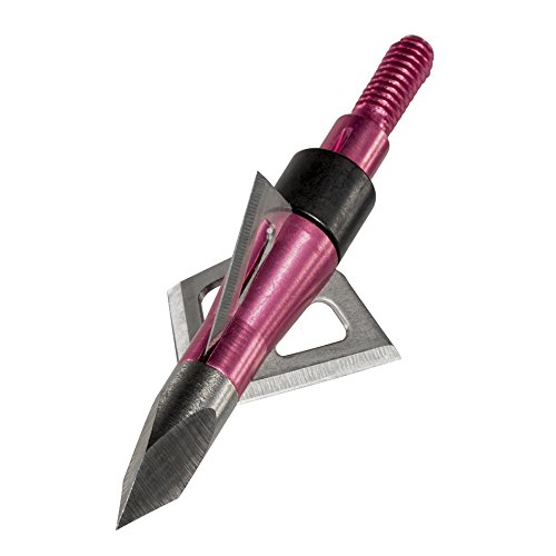 Wasp Archery ProductsQueen by Montana Decoy (100 Grain)