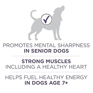 Purinaonehighproteindryseniordogfoodplusvibrantmaturityadult7plusformula311lbbag Urban Country Home Decor Purina one high protein dry senior dog food plus vibrant maturity adult 7 plus formula 311 lb bag urban country home decor