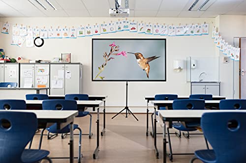 Tragbare Beamer-Leinwand von Celexon – Leicht und Mobil