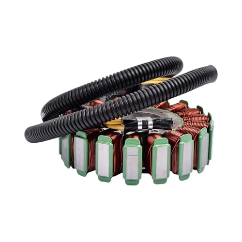 Stator de démarreur électrique évite les pannes sur LT V800 - 3