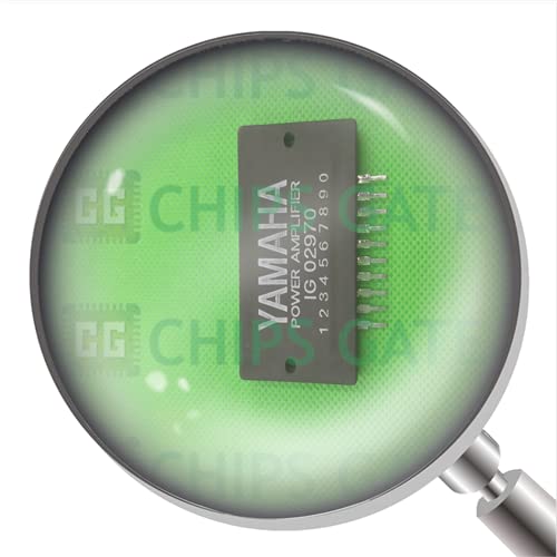 IG02970 1Pcs New IG02970