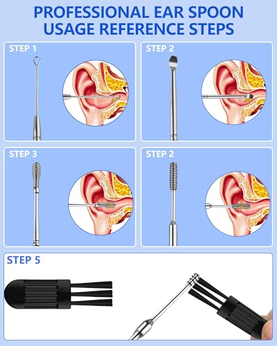 lulir Ohrenreiniger 6-in-1,Ear Cleaning Kit,Ohrenschmalz Entfernungs Set,Ohrenschmalz Entferner Edelstahl,Ohrreinigungswerkzeuge mit Einem Cleaner Pinsel&Aufbewahrungskiste,für Erwachsenen und Kindern