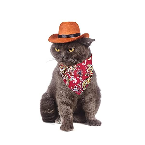 Pet cowboy hat bandana costume, funny dog cat costume accessories set for mexican birthday christmas and holiday party daily wearing - image 6