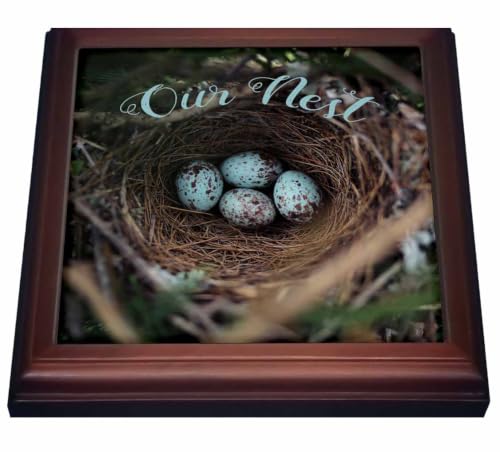 3dRose Our nest on a Photograph of…