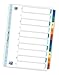 Produktbild Oxford 400013939 Kunststoff-Register Strong-Line 10er Pack blanko 10-teilig für DIN A4 Plastikregister mit beschriftbarem Deckblatt blau rot grün gelb Ringbuch Ordner Ring-Mappe