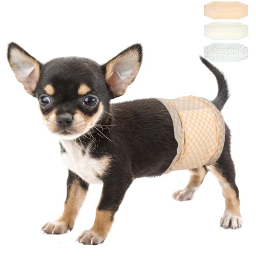 Pañales Perros Machos Xs Marca Pet Soft