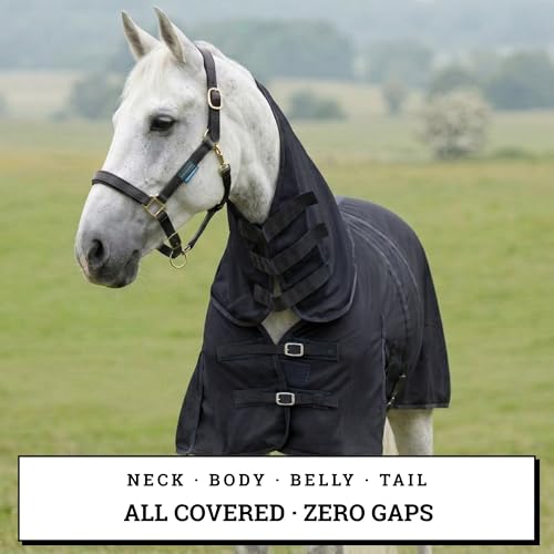 Image of Horse Fly Sheet with Attached Neck Cover & Tail Flap | UV Protection Mesh Horse Blanket, Full Body Bug & Sun Shield, Buckles, Belly Wrap & Gussets for Spring Summer Riding Rug (Black, 68 inch)