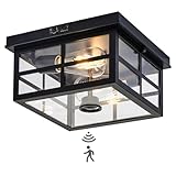 Vexagyle Outdoor Ceiling Light with Motion Sensor,2-Light Outdoor Ceiling Lights for Porch Flush Mount Motion Sensor,Dusk to Dawn Outdoor Light Fixture Ceiling Mount with Clear Glass for Porch,Garage