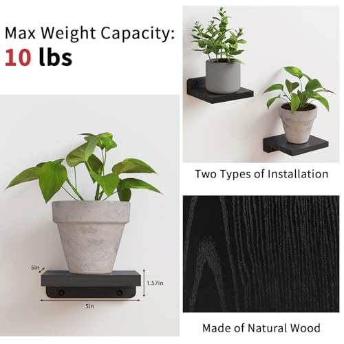 Image of Fixwal Small Floating Shelves for Wall Decor (5Inch, Wood, Black, Set of 4)