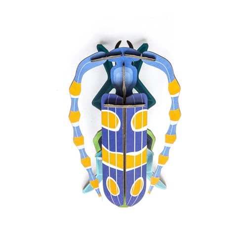 STUDIO ROOF, Wall Art Beetles, Rosalia Beetle, Eco-Friendly & Creative Gift