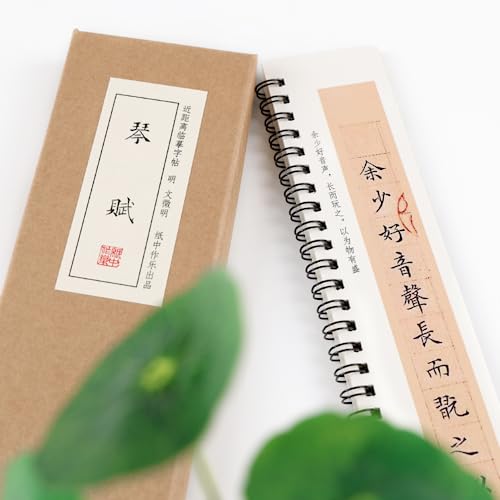 Chinois écriture cursive parfaite avec brosse calligraphie