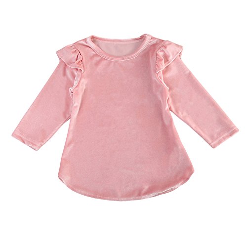 BiggerStore Toddler Kids Infant Baby Girl Velvet Long Sleeve Pink Princess Mini Dress Clothes for Fall Winter (3-4 Years, Pink)
