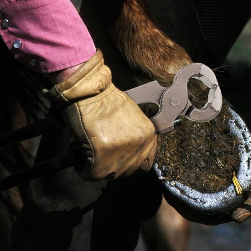 Pince à parer les sabots au quotidien dans votre écurie pour moutons et chevaux