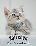 Kätzchen: Ein entzückendes Bilderbuch mit 40 entzückenden Kätzchen für Kinder oder Menschen mit Demenz oder Alzheimer.