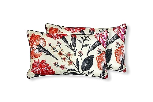 Juego de 2 Cojines 30x50cm 100% Poliéster para Sofa con Relleno Incluido Extra Suave al Tacto, Cojines Terciopelo Estampado Decorativo Hogar - Clavel