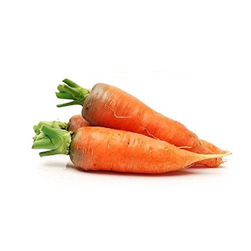 Carrots-Danvers Half Long.- 100+ Seeds- Country Creek LLC