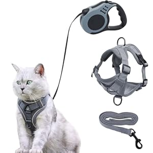 Cat Harness and Lead Set, Kitten Harness with 5m/16.4 Ft Automatic Retractable Dog Leads Adjustable Dog Walking Vest with Lead for Cats and Small Dogs Puppy Walking (L)