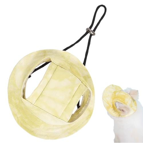 LpoPbgnbg | Lp t߉\悯Xq,q qL O  r[` Lvp Oh~Xq