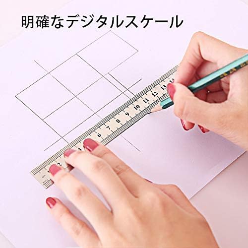 Amazon.co.jp: 直尺 定規 ステンレス 20cm アルミ直尺 メモリが