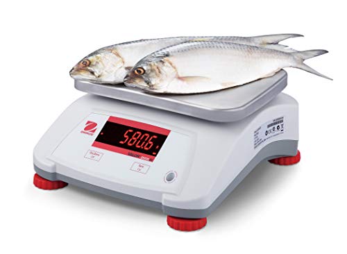 Báscula Ohaus Compacta Bancaria 60 lb x 0.01 lb miniatura 5