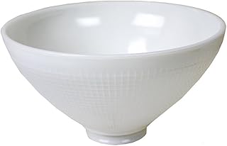 Satco 8 Inch Diameter Reflector-Type IES Replacement Shade for Stiffel