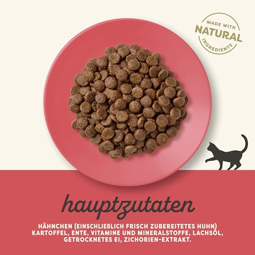 Applaws Katzentrockenfutter Adult, Huhn mit Ente, getreidefrei und komplett 400g (1 Packung) – Ansicht 3