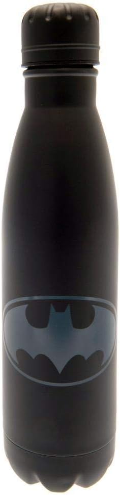 DC Comics - MDB25541 - Unisex Adult Steel Water Bottle - 500 ml - Multi-Colour