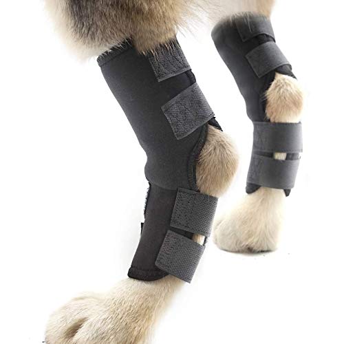 Dog Leg Brace, Supportive Rear Leg Hock Joint Wrap for Hind Legs, Prevents Injuries, One Pair (M)