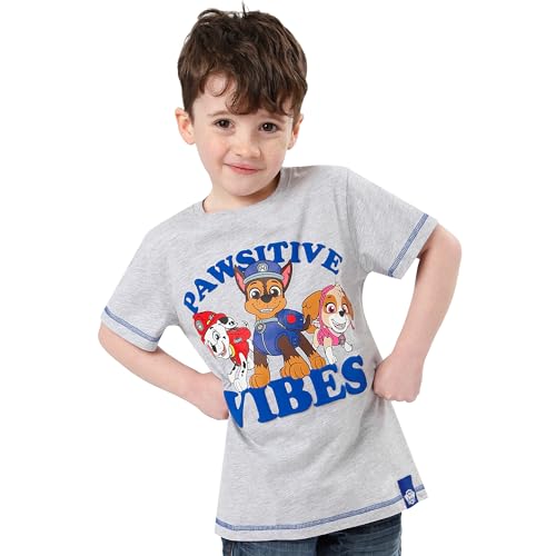 Paw Patrol Tshirt | T-Shirts for Boys | Boys Summer Clothes2