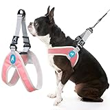 Gooby Simple Step in III Harness - Pink, Medium - Small Dog Harness with Scratch Resistant Outer Vest - Soft Inner Mesh Harness for Small, Medium Dogs