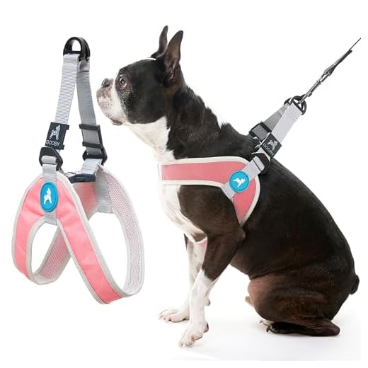 GOOBY Simple Step-In Harness III Hundegeschirr, Kratzfest, atmungsaktiv, Netzstoff, Pink, Größe S