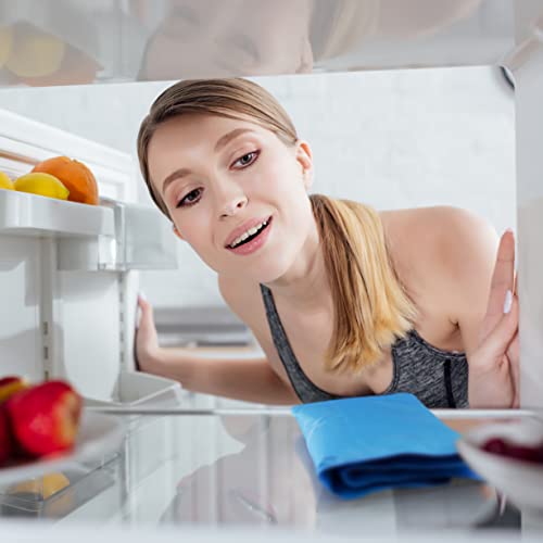 Bramble - Große Kühlendes Gelkissen, Kisseneinsatz für Bessere Schlafqualität bei Heißem Wetter, 55x30cm - Hitzewallungen, Migräne, Fieber, Schmerzlinderung - Leckagefrei